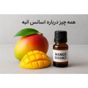 همه چیز درباره اسانس انبه